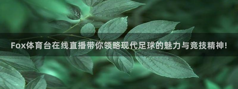Fox体育台在线直播带你领略现代足球的魅力与竞技精神!